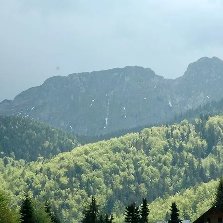 Viva Maria * Zakopane